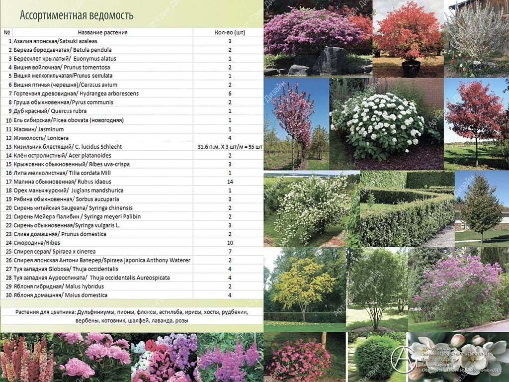 Ассортиментная ведомость растений – список растений от agdizain.ru